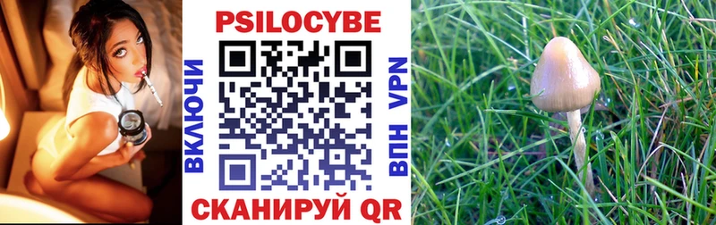 Галлюциногенные грибы GOLDEN TEACHER  Вольск 